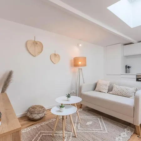 Quiet Duplex Studio In The Heart Of Old Lille! *